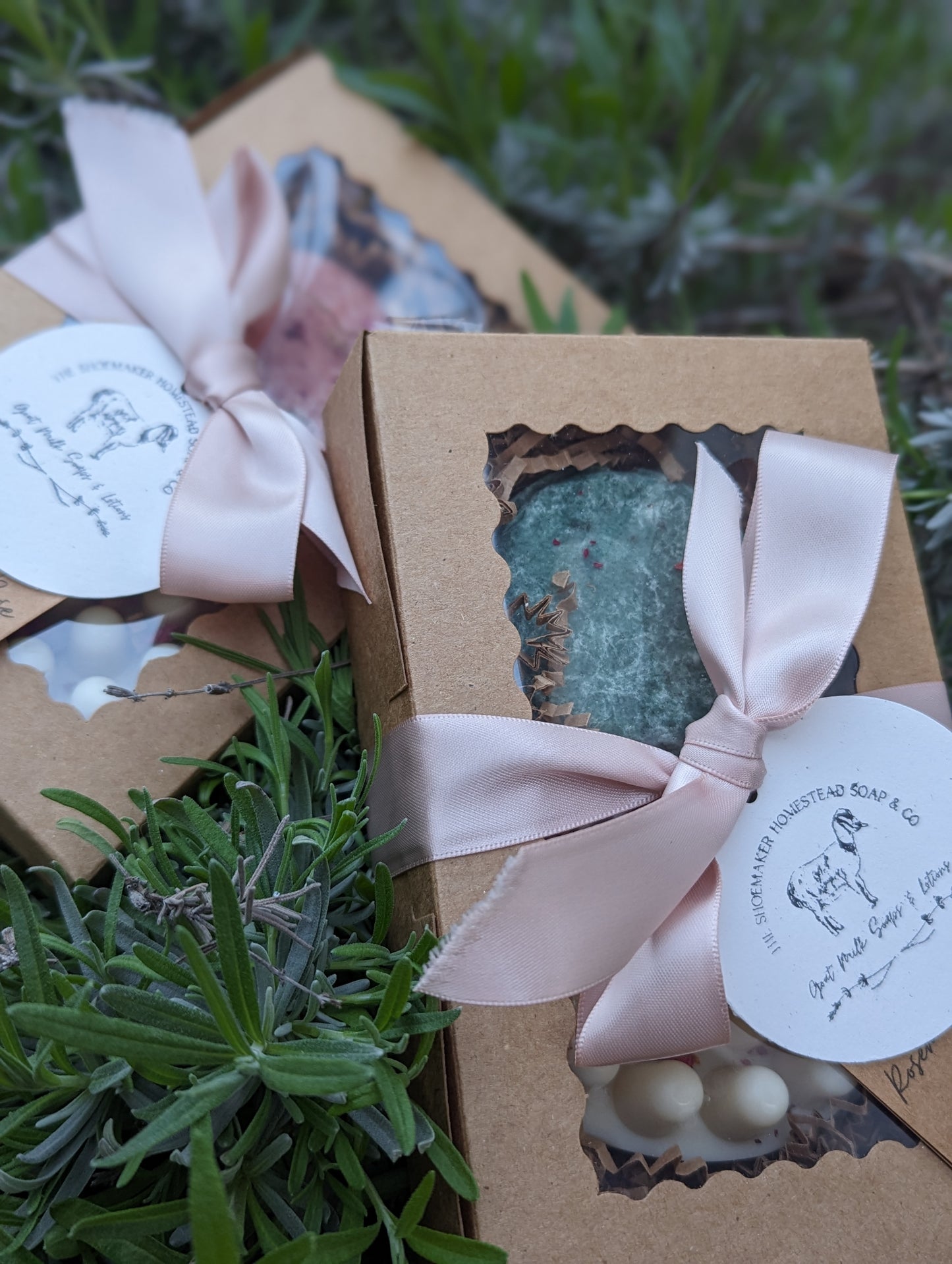 Shampoo and Conditioner Gift box